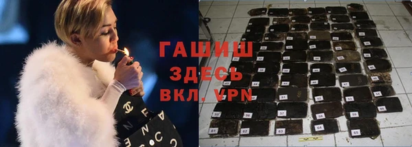 мдпв Осташков