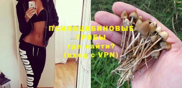 a pvp Абаза