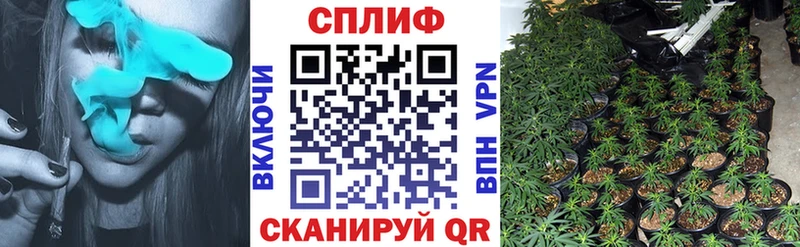 где можно купить   Тарко-Сале  Канабис конопля 